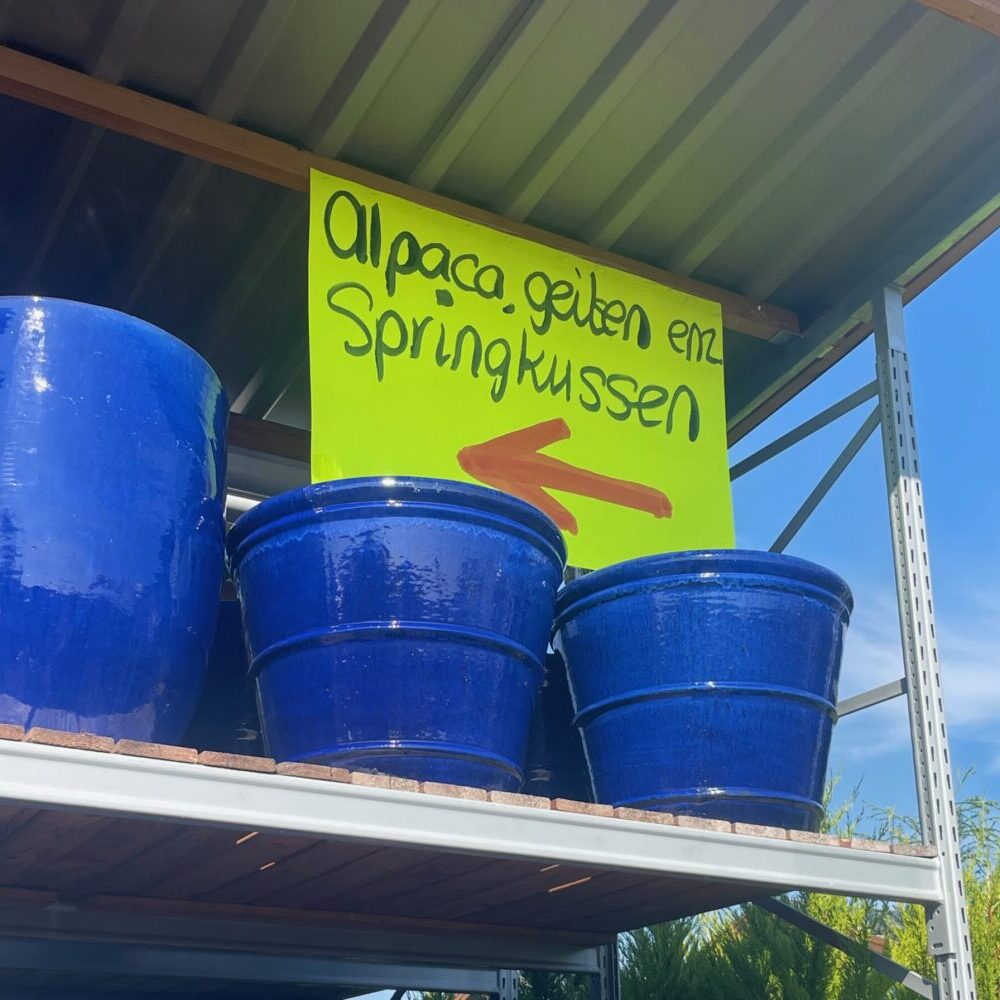 een plakaat met een pijl en daarboven de tekst 'alpaca, geit en springkussen'