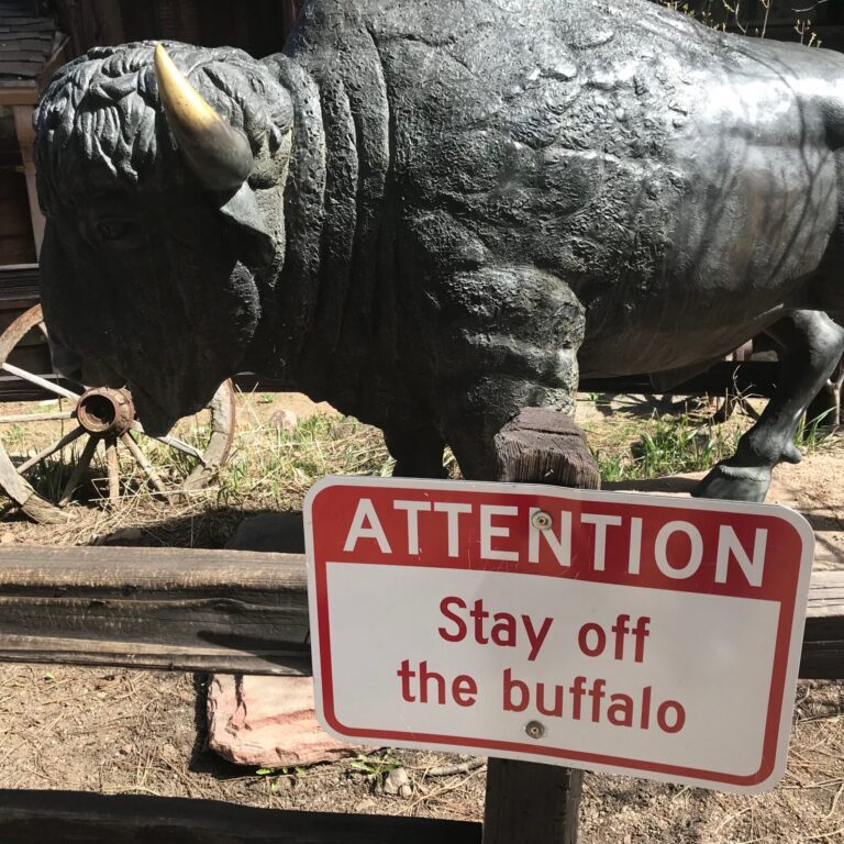 buffalo2018