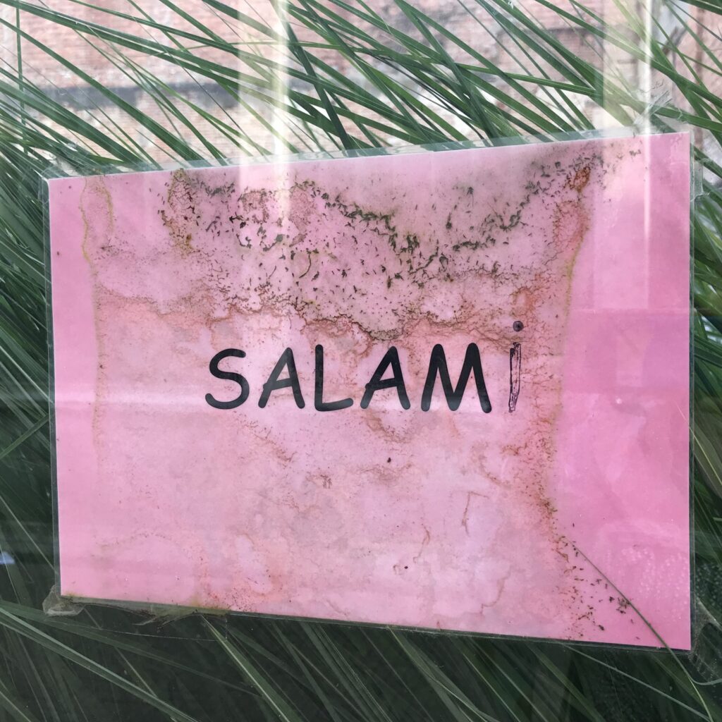 salami2018